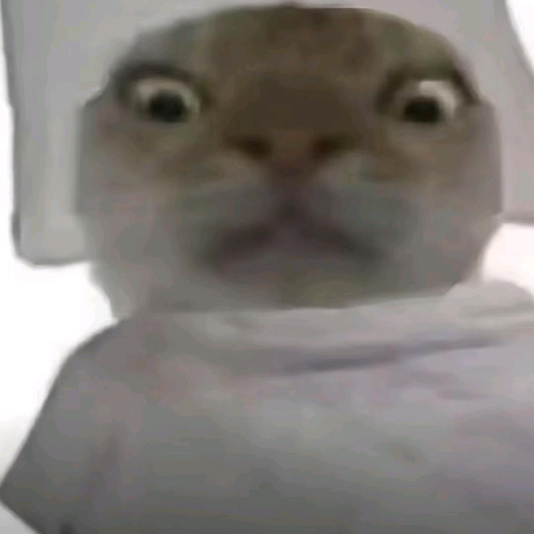 bbj
