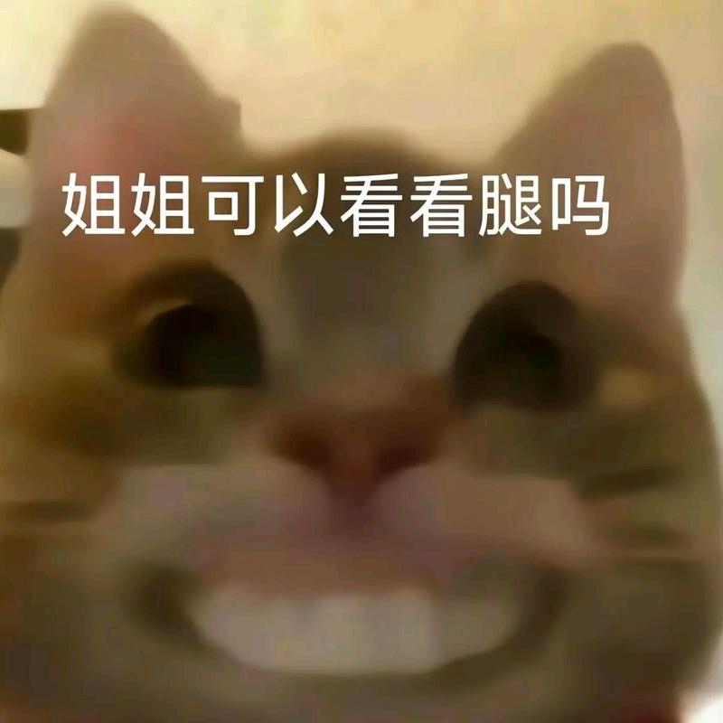 番茄番茄大柿子