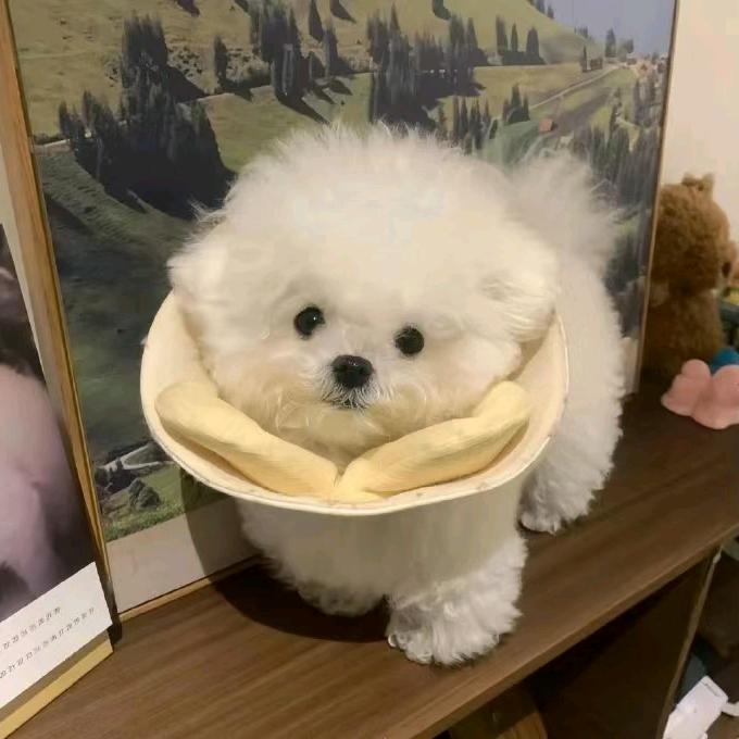 醒了洗洗睡