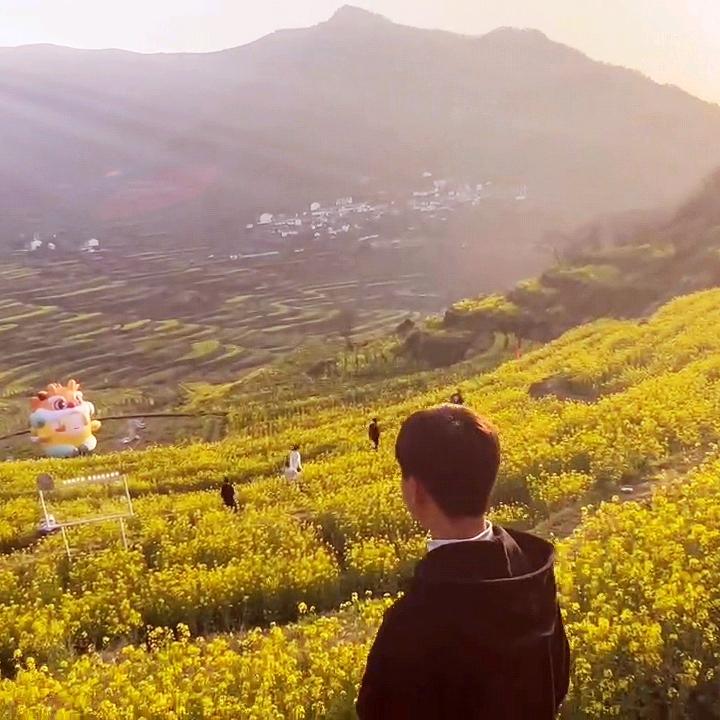 不熬夜了⍤⃝