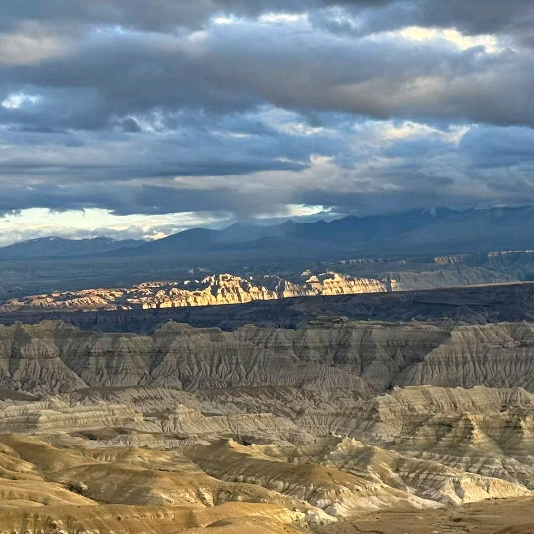 唐博涛手机营业厅