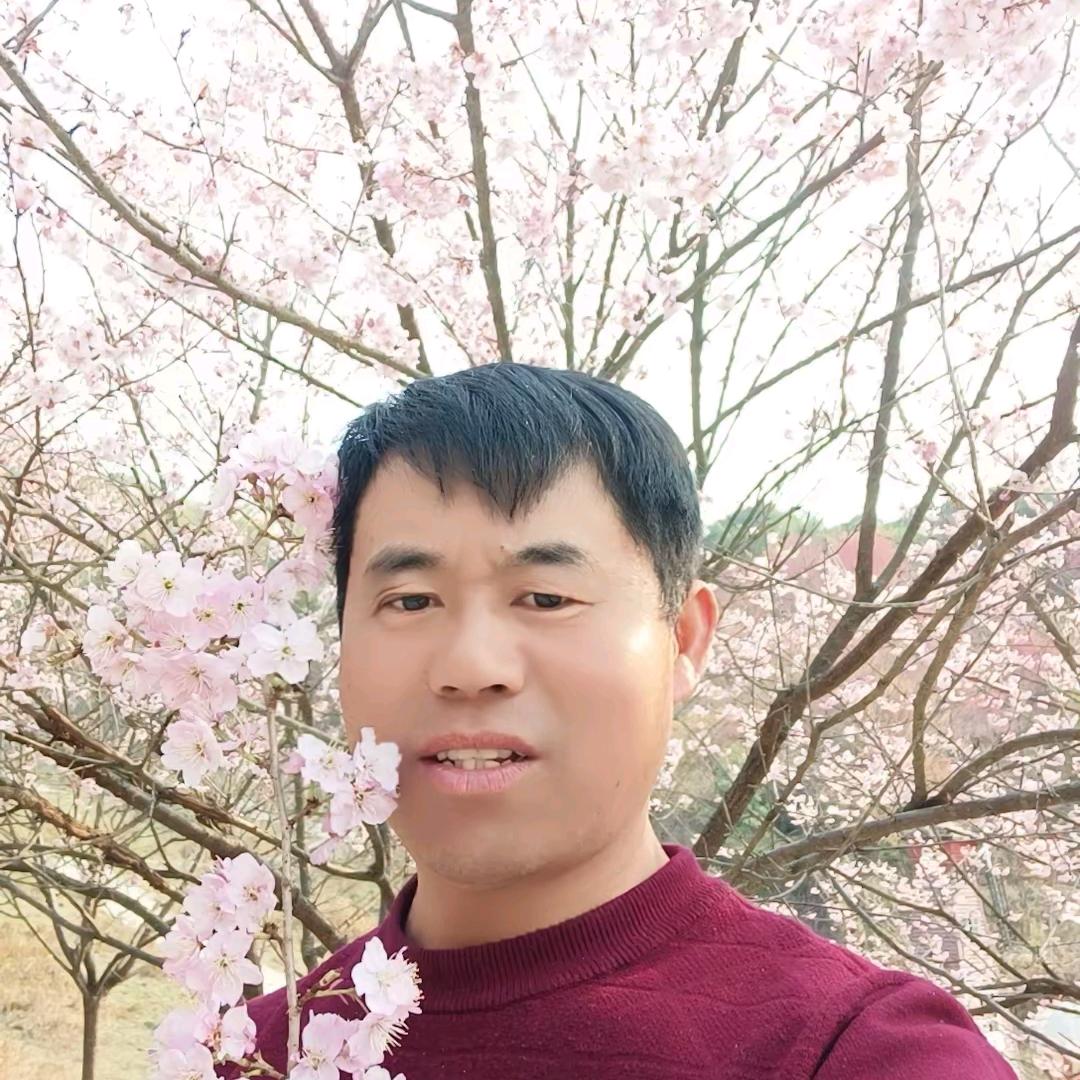 特种木工队胡队长五小号