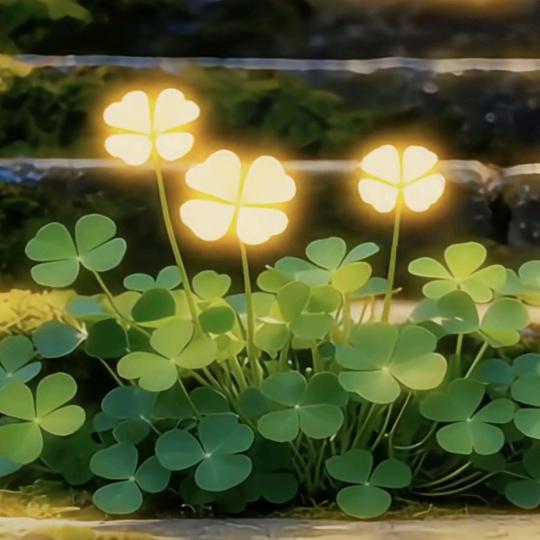 ✨岁月静好✨☀️