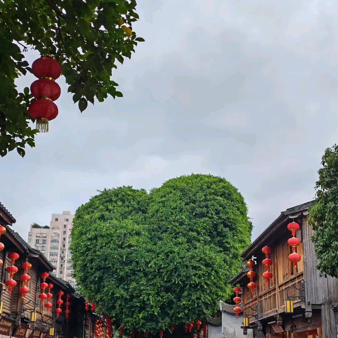 人间小迷胡🌈