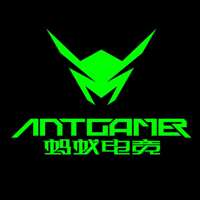 ANTGAMER显示器旗舰店
