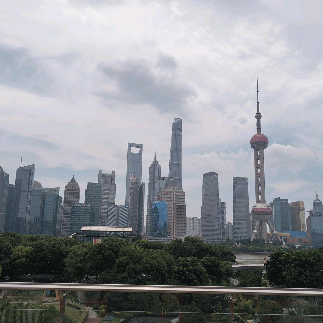 双月鸟