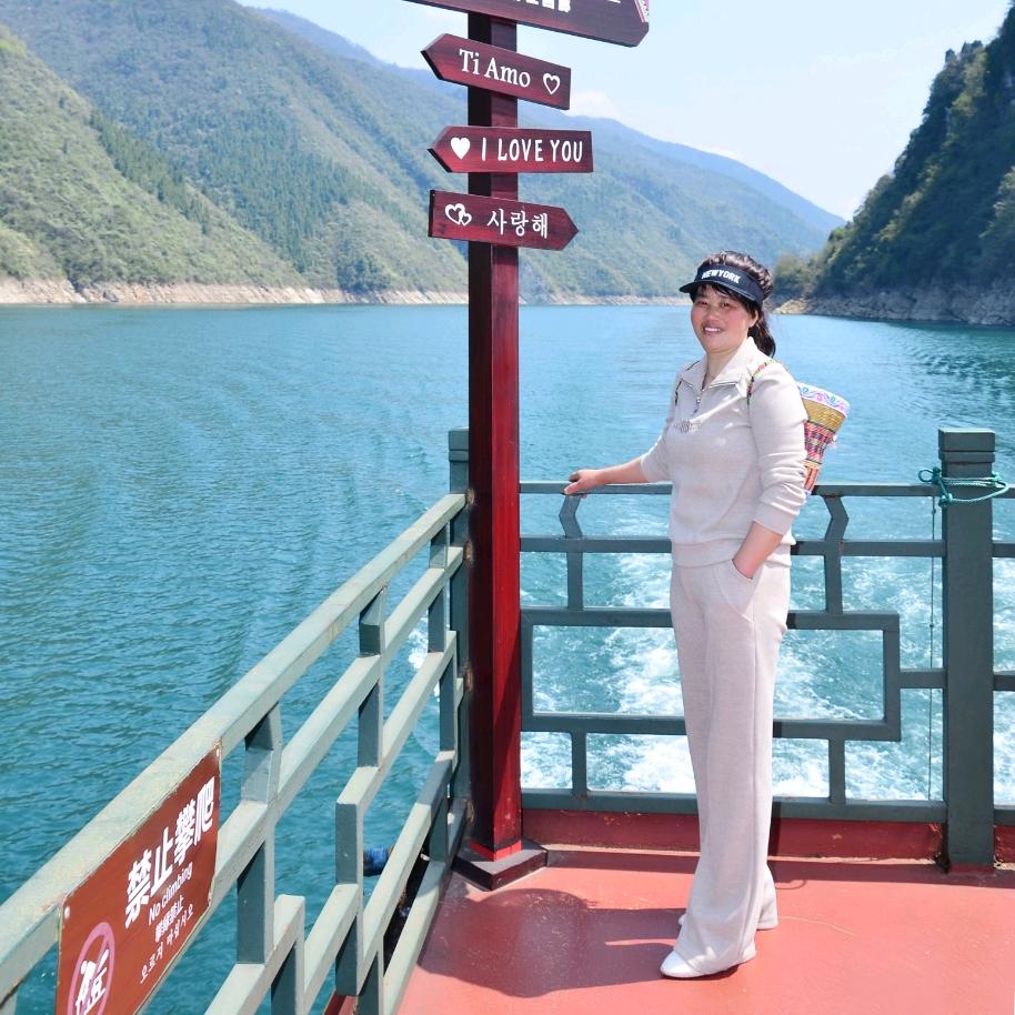 正宗来凤酒老杨