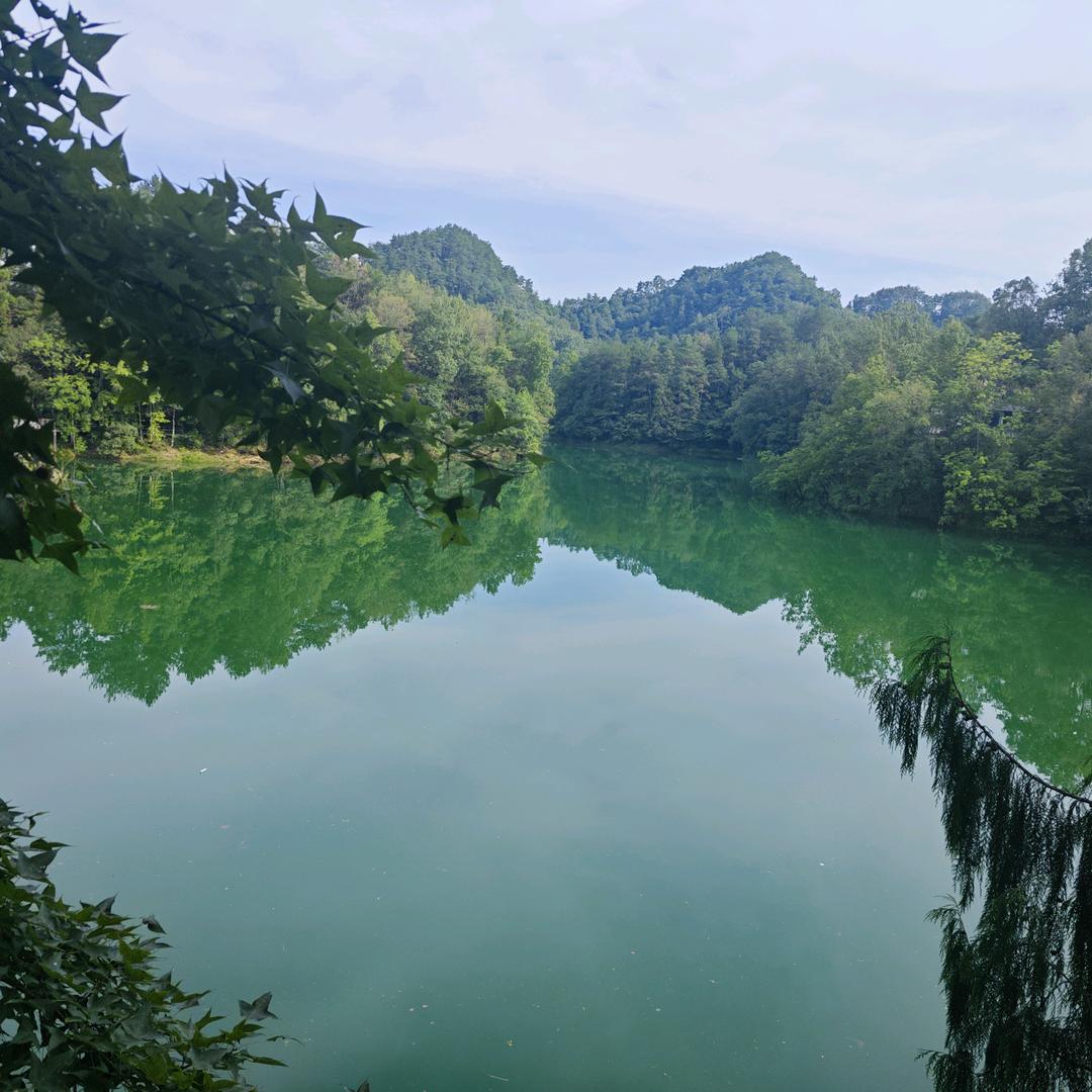 江湖2112