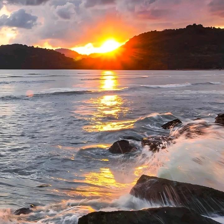 君子兰花🌹🌹🌹