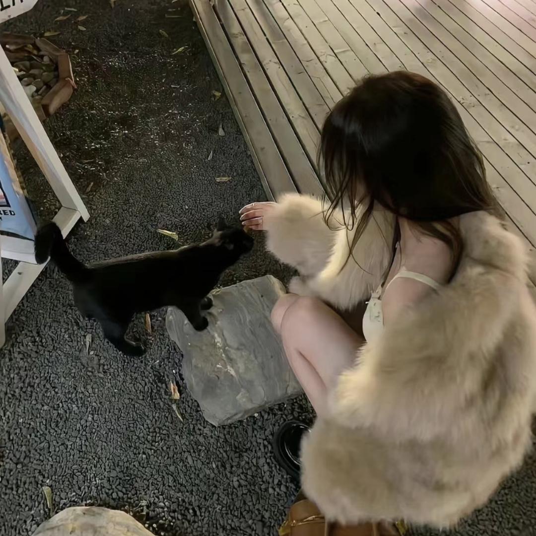 土豆咪