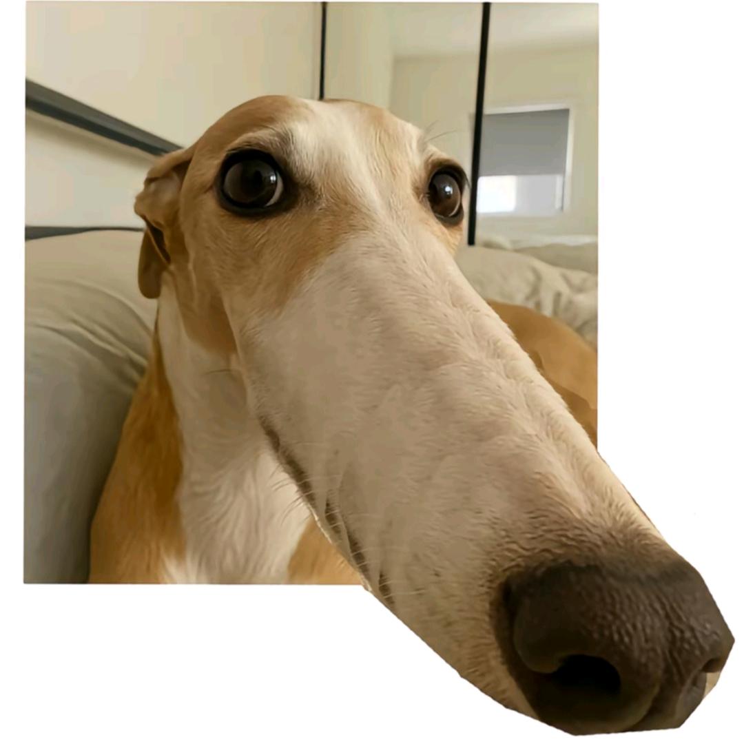 ⁱF