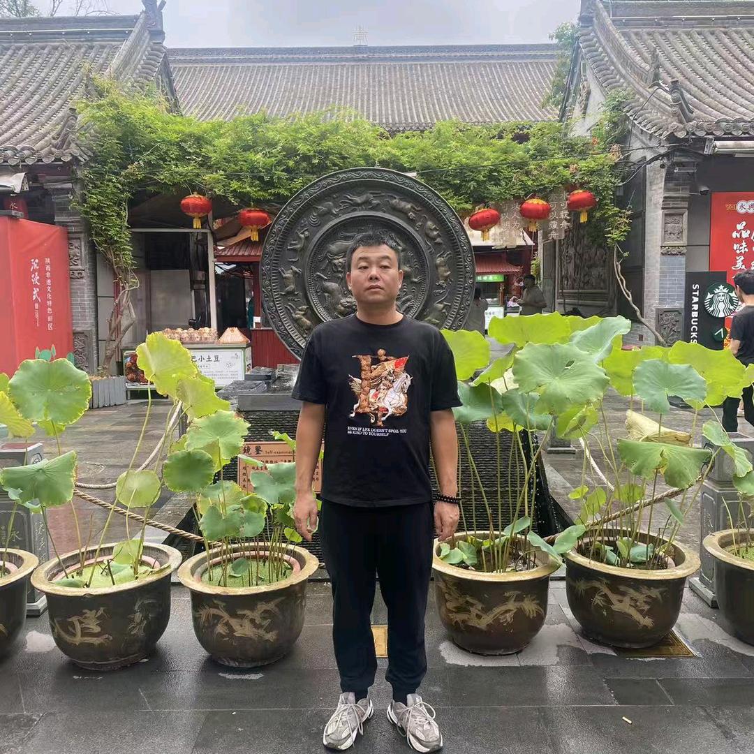 青春的少年