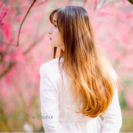 🌴岁🌷月🌷静🌷好🌴