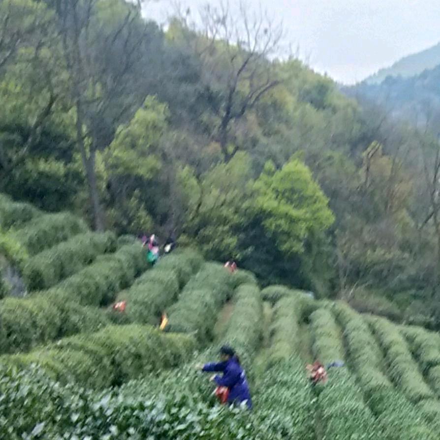 阳光