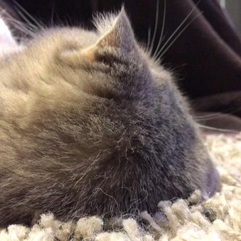 等等等灯