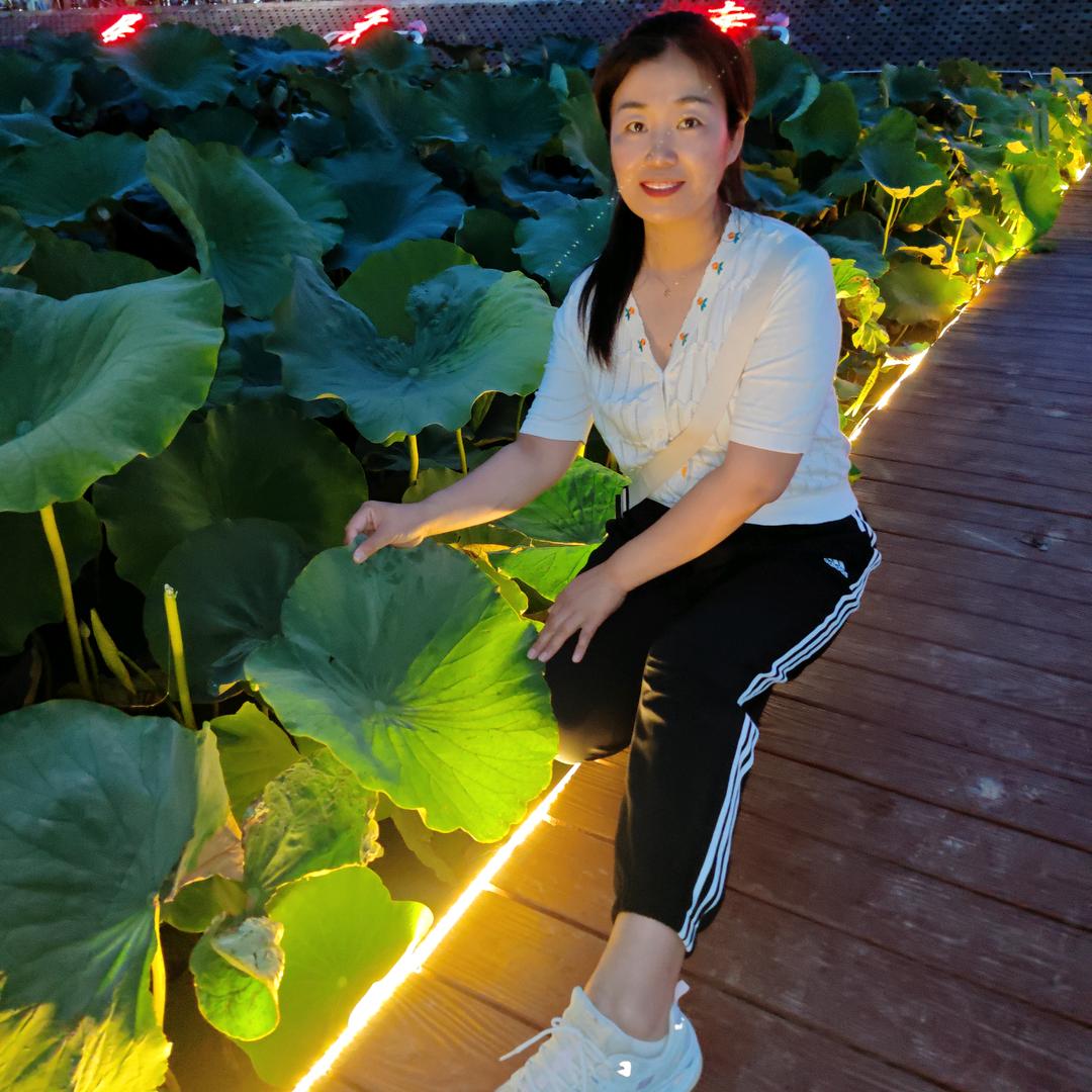 百惠  南南