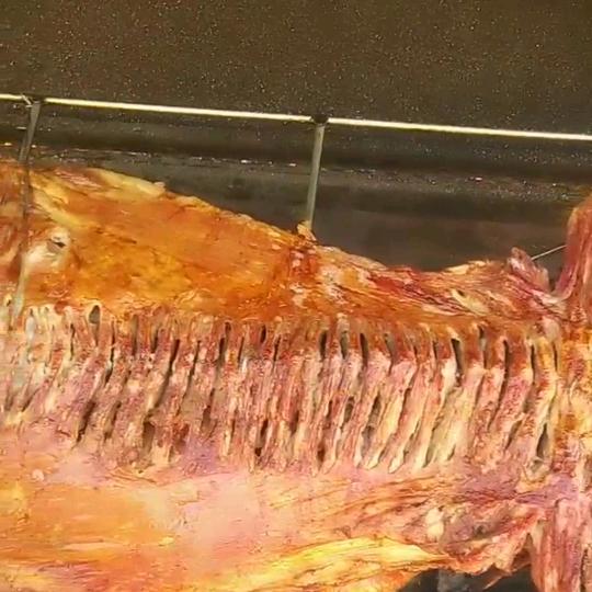 荣臣熟食官方号流动烤全羊