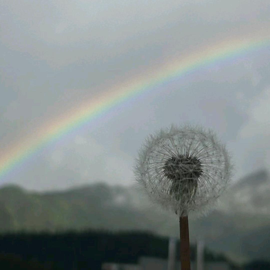 快乐✧٩(ˊωˋ*)و✧