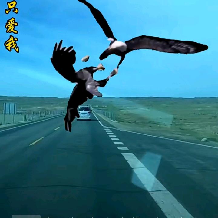 遍地是网络