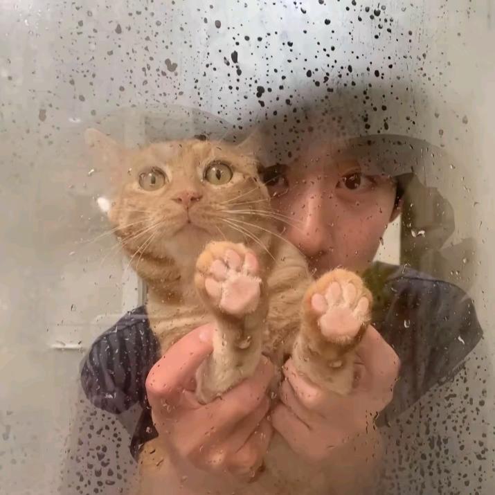 运气爆棚的土豆