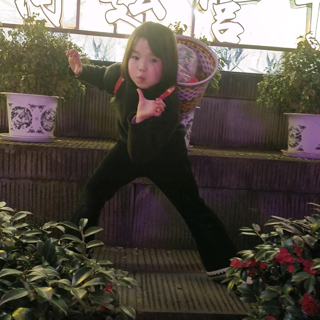 丽