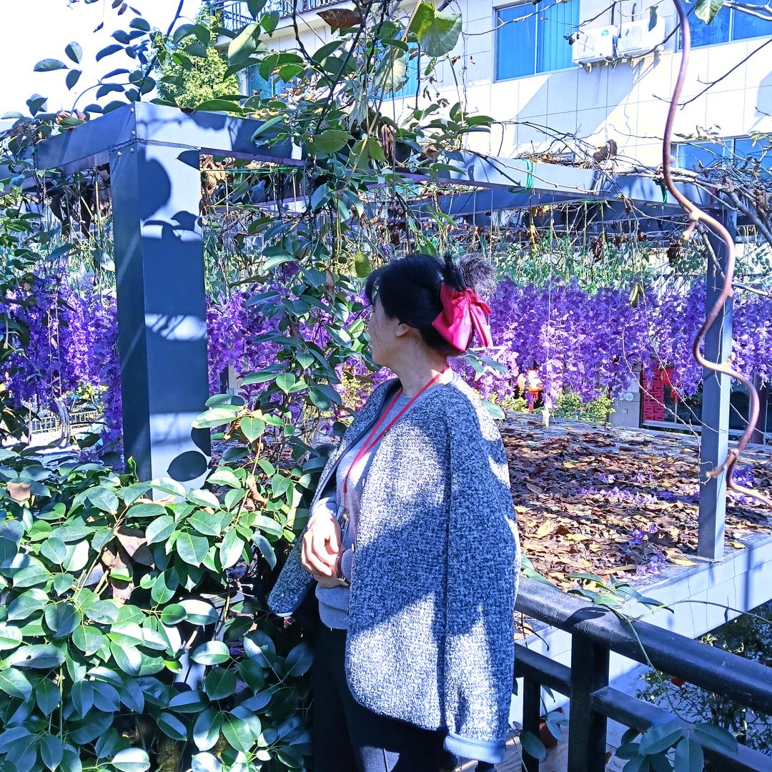 感恩遇见（念）