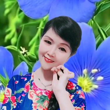 芳芳手势舞
