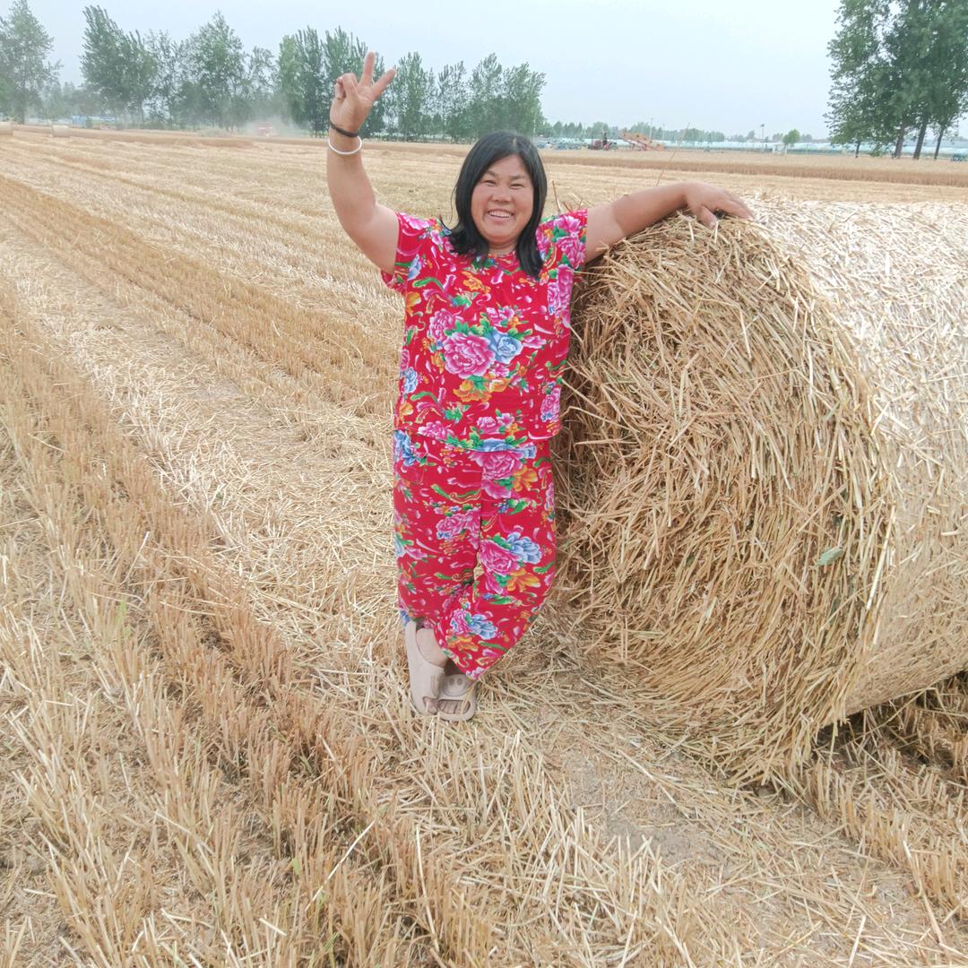 专业手工编织藤椅