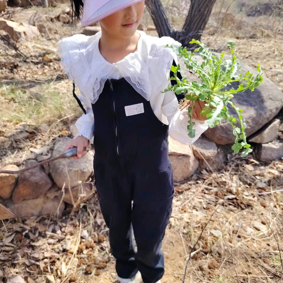 大山大樱桃，油桃，板栗🌰