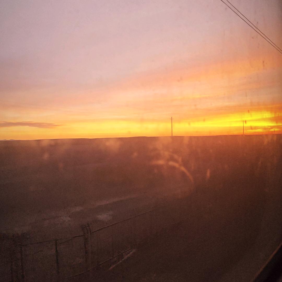 糊虎涂兔(づ ●─● )づ