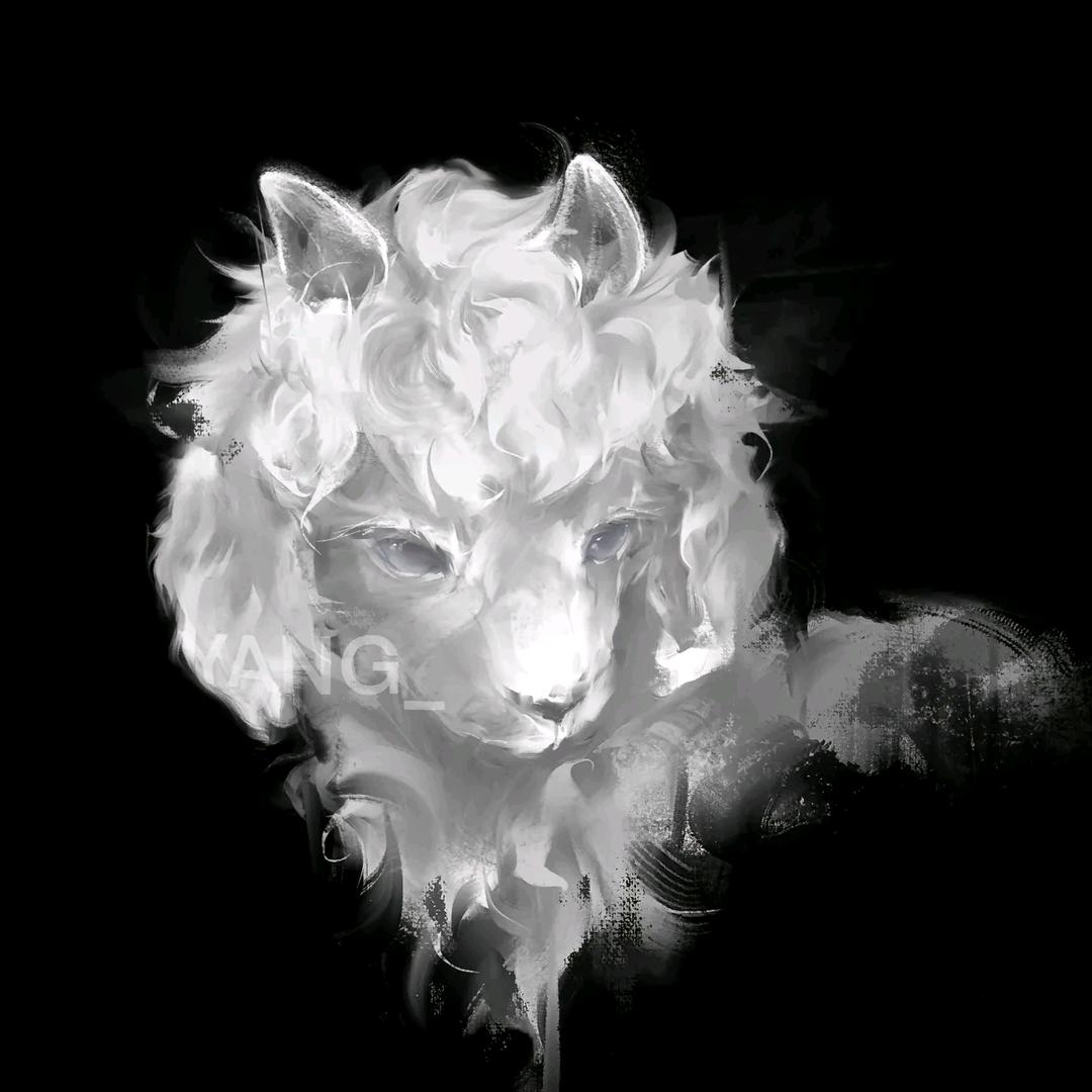 AAA羊肉批发杨哥