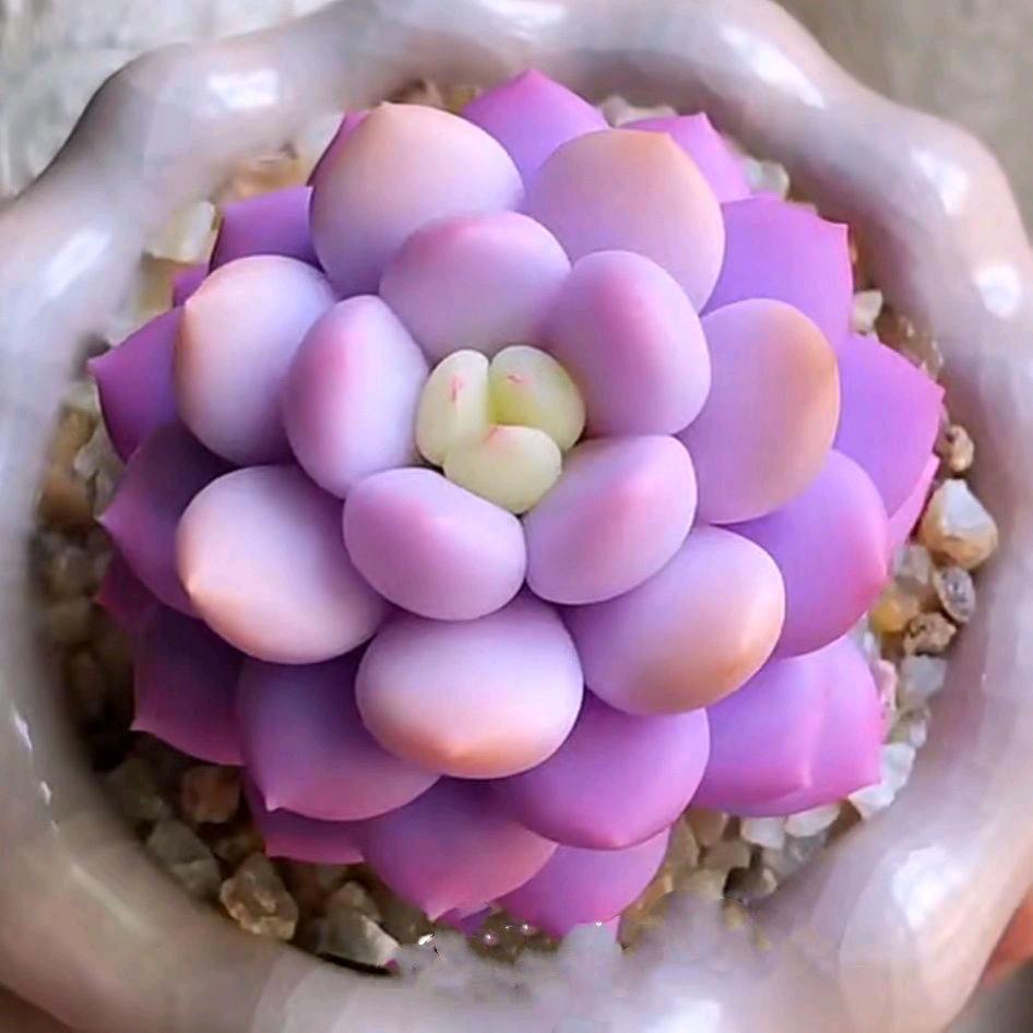 木地板销售安装