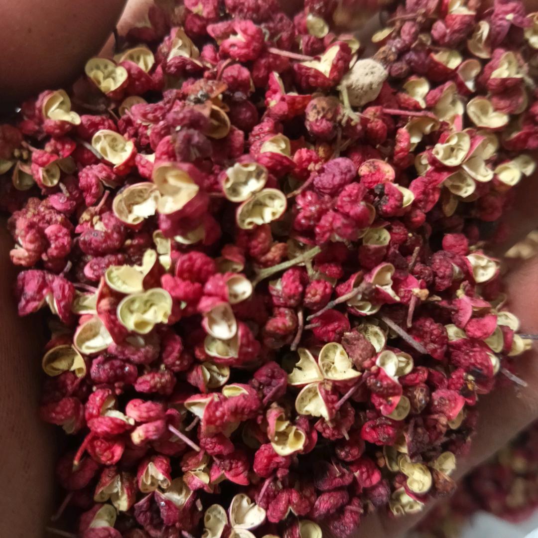 武都花椒产地直销