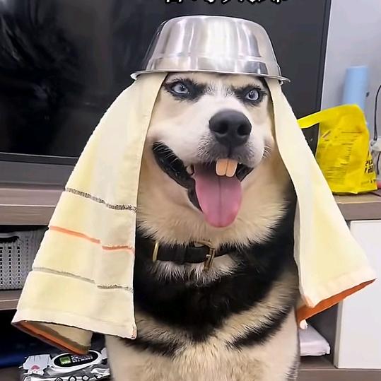 风餐露宿的越野