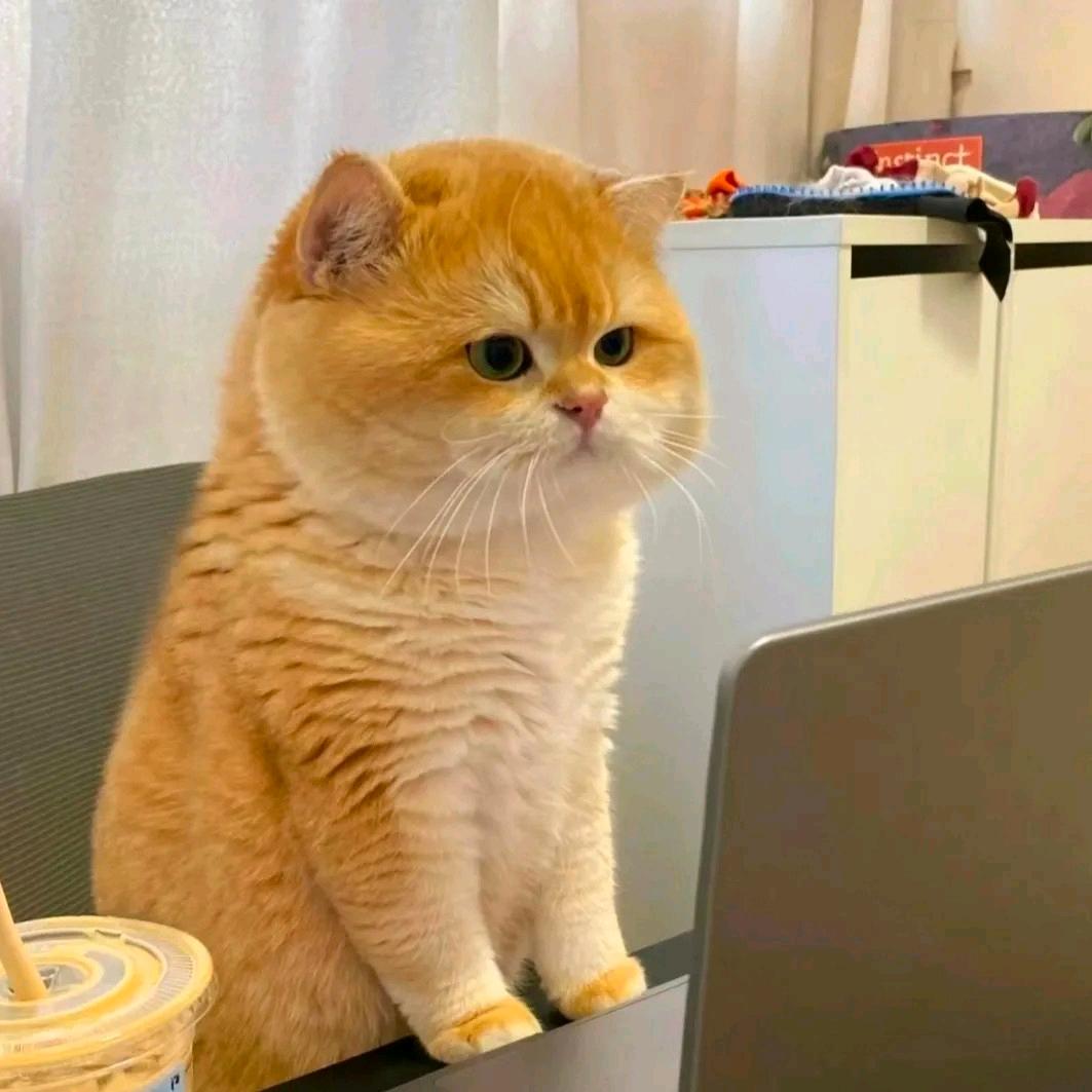 画船听雨眠……