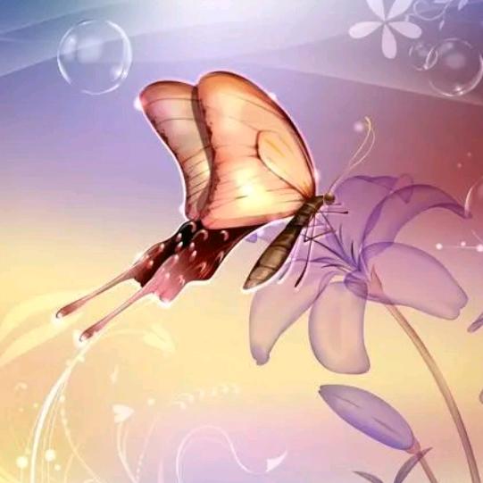 樱花🌸上的🦋蝶娘