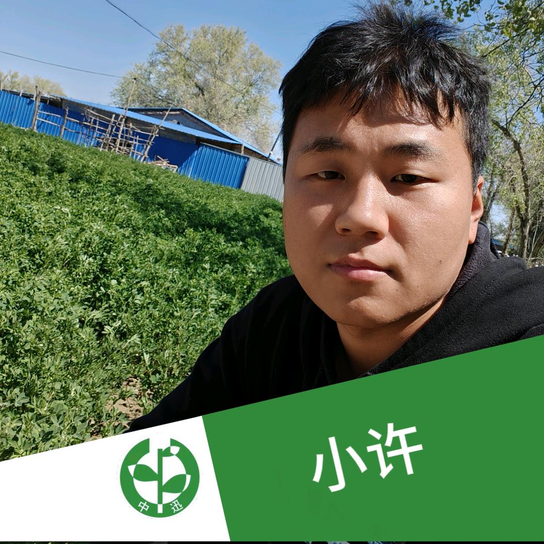 海特小许聊农资
