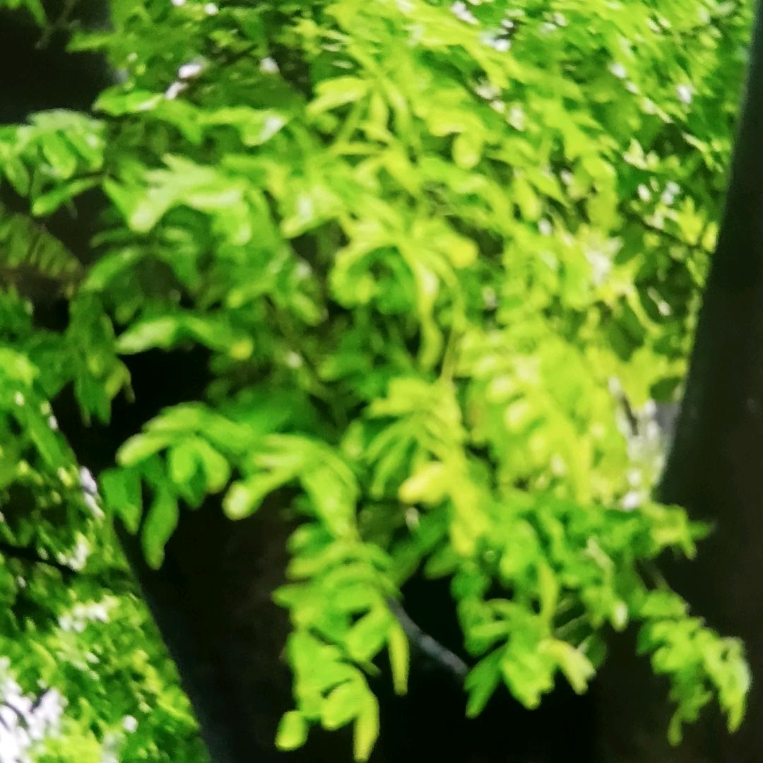 玲 珑 商 贸