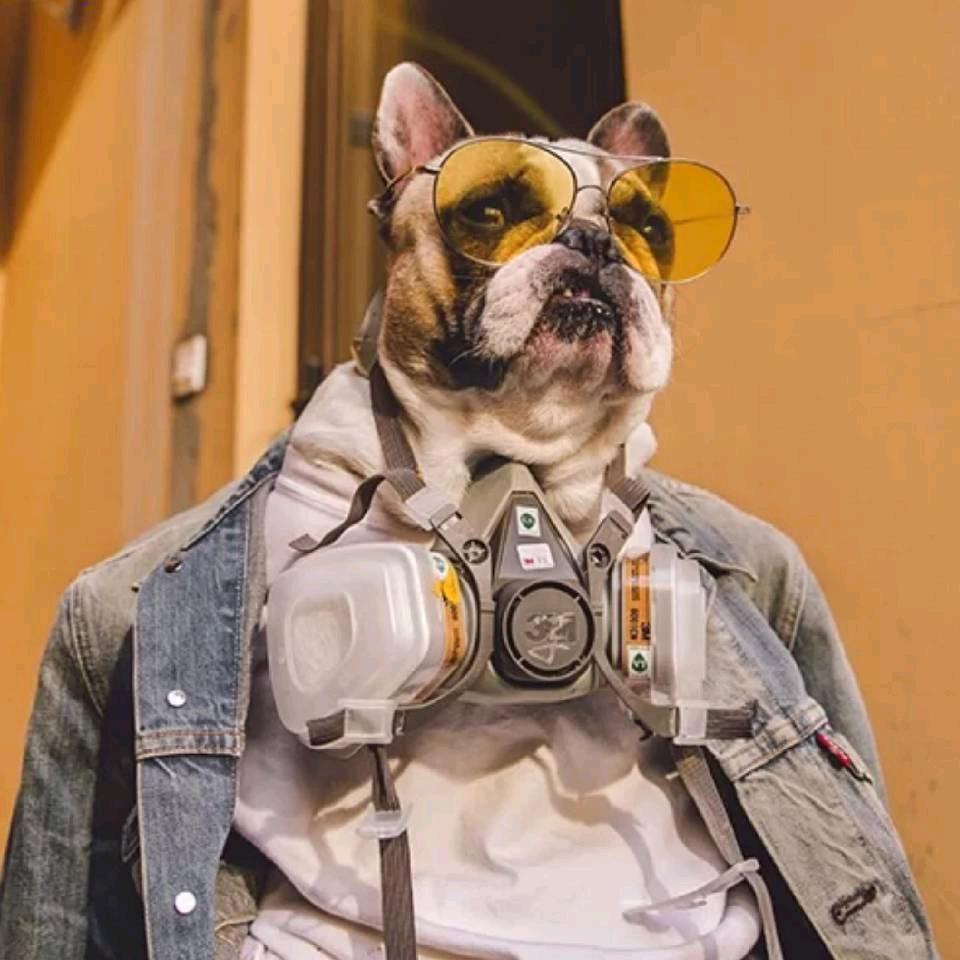 ㅤㅤㅤㅤㅤㅤㅤㅤㅤㅤㅤㅤ