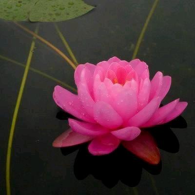 吉祥平安！