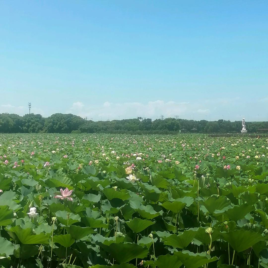 陈陈～户外美发