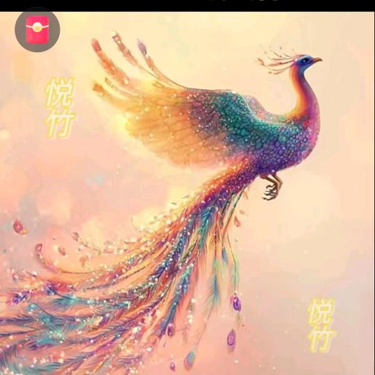鑫一