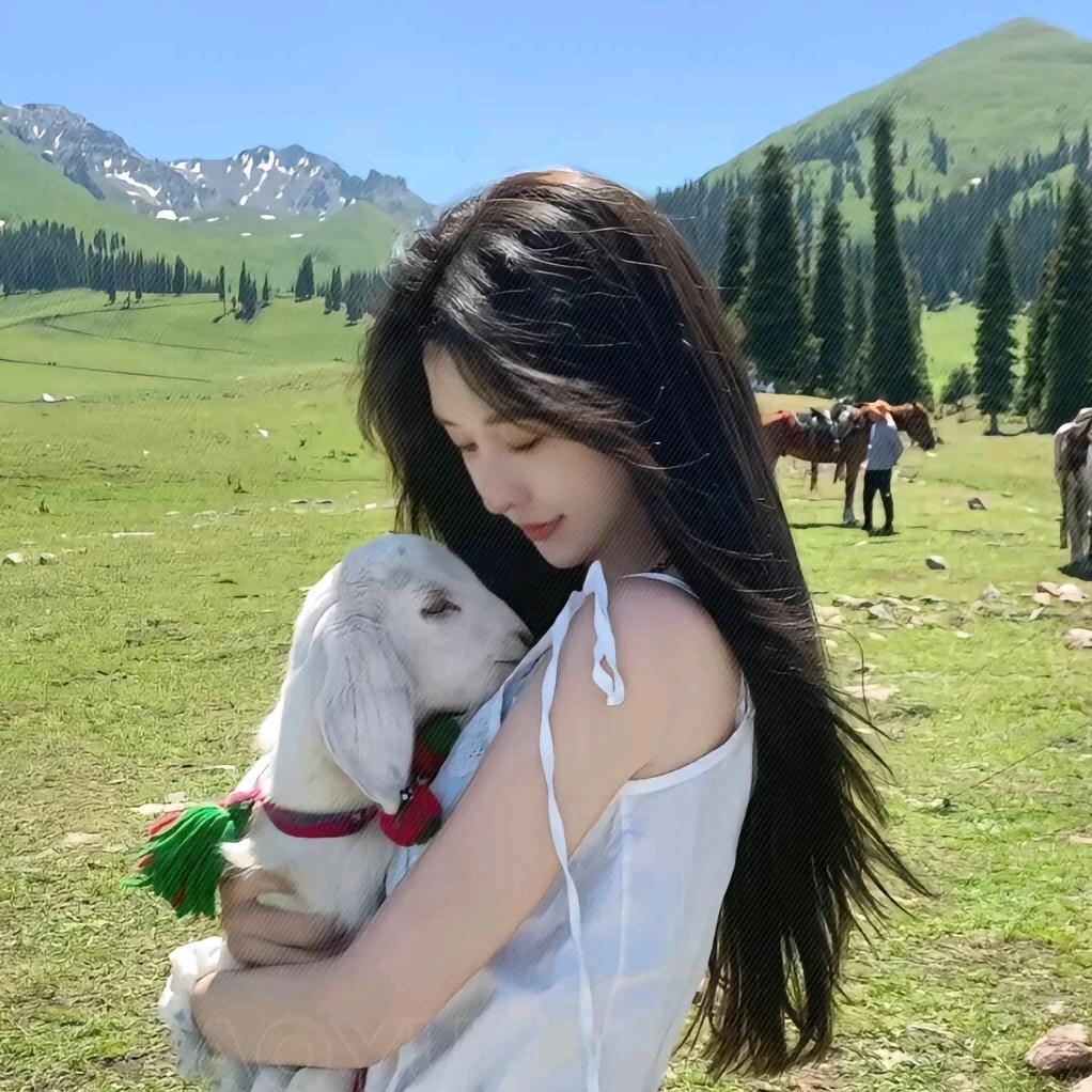 灵宝的小宝