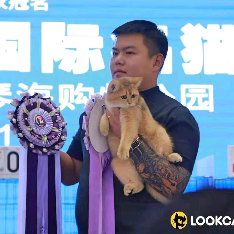 五月猫舍（山东烟台）