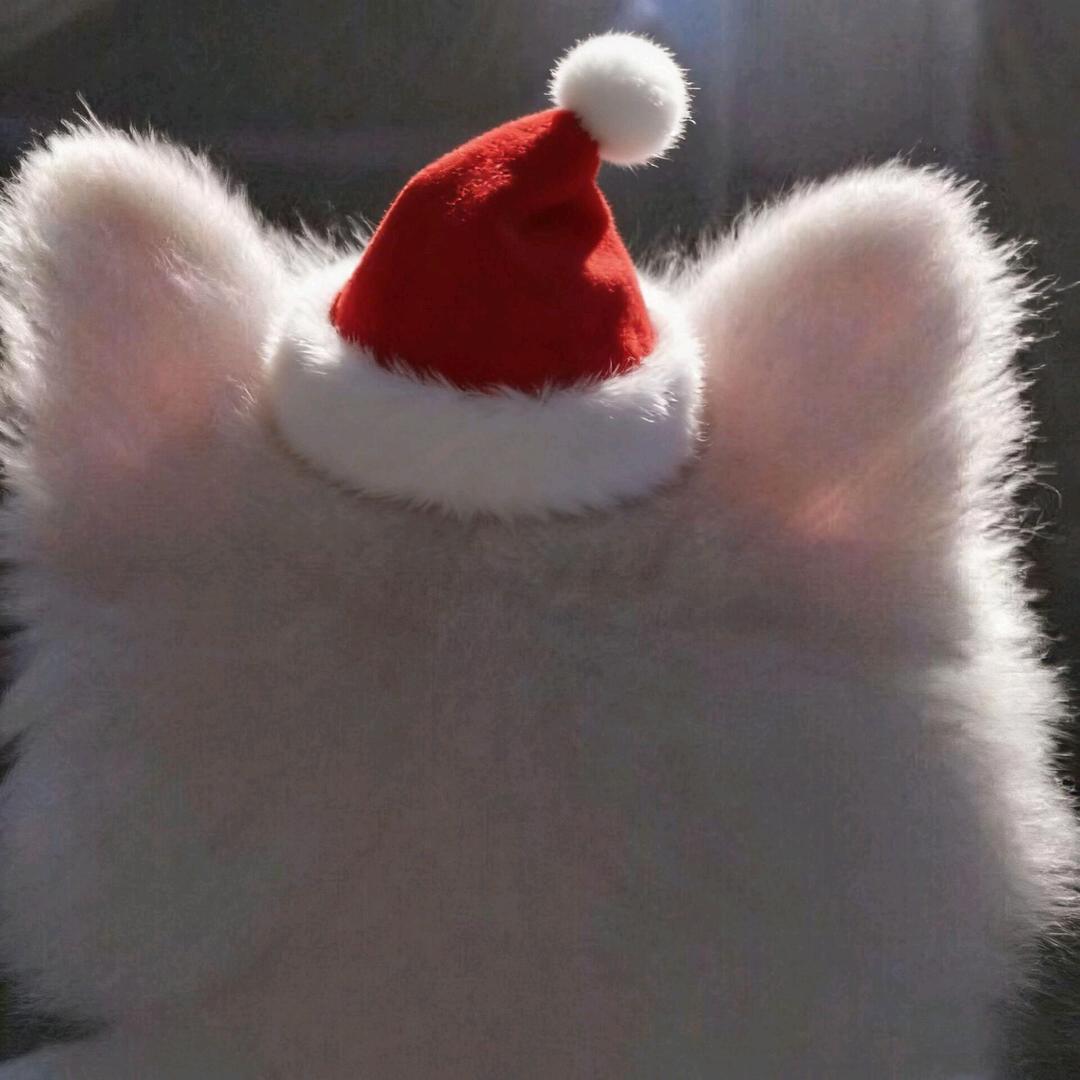 乌拉尔的花楸树