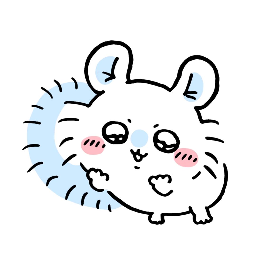 莫莫咖的大臭抹布