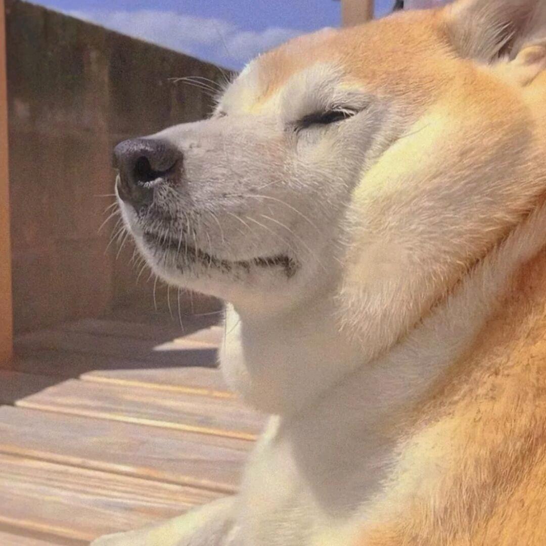 玛卡巴卡