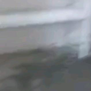 666