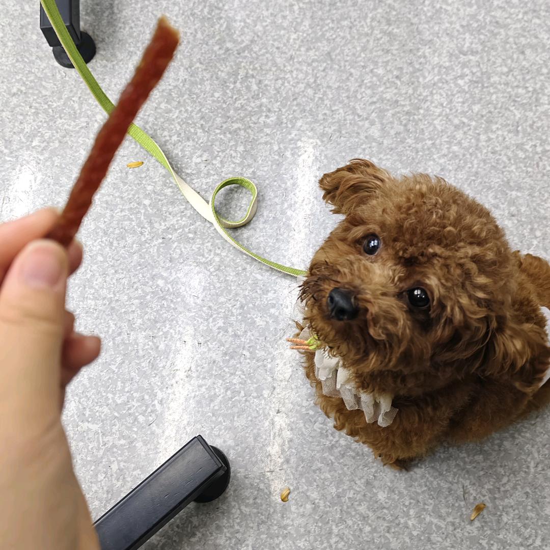 宝宝🐶的朋友圈