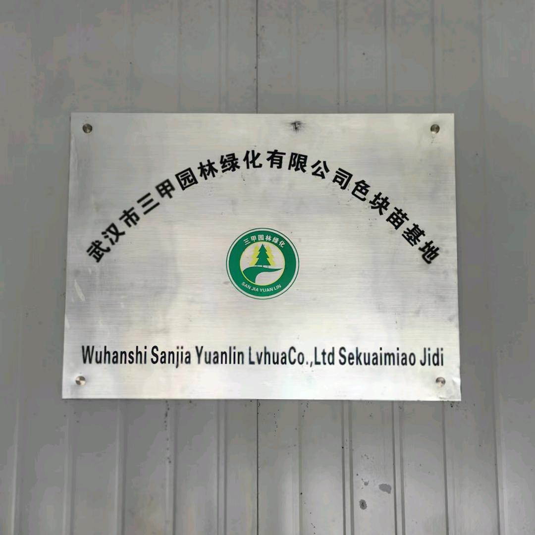 武汉市三甲园林